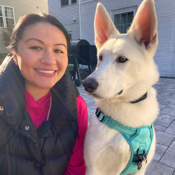 Meet your Posher, Jordan - Picture 1 of 1